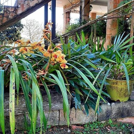 Pousada Canto das Corujas São Roque Exterior foto
